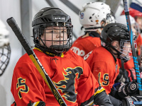 "� ������ ������ ��������� �������..."