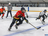 "� ������ ������ ��������� �������..."