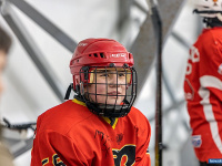 "� ������ ������ ��������� �������..."