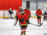 "� ������ ������ ��������� �������..."