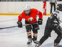 "� ������ ������ ��������� �������..."