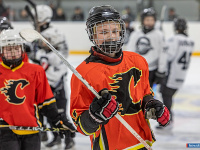 "� ������ ������ ��������� �������..."