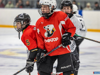 "� ������ ������ ��������� �������..."