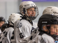 "� ������ ������ ��������� �������..."