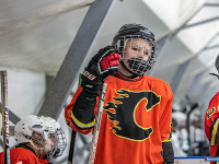 "� ������ ������ ��������� �������..."