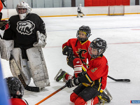 "� ������ ������ ��������� �������..."