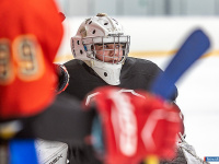 "� ������ ������ ��������� �������..."