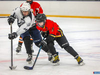 "� ������ ������ ��������� �������..."