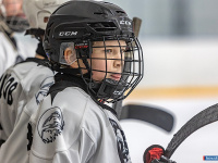 "� ������ ������ ��������� �������..."