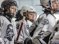 "� ������ ������ ��������� �������..."