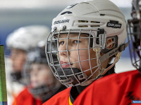 "� ������ ������ ��������� �������..."