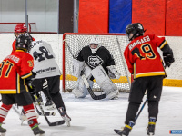 "� ������ ������ ��������� �������..."