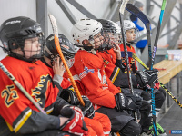 "� ������ ������ ��������� �������..."