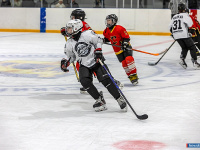 "� ������ ������ ��������� �������..."