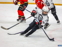 "� ������ ������ ��������� �������..."