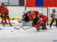 "� ������ ������ ��������� �������..."