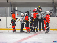 "� ������ ������ ��������� �������..."