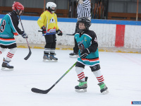 ���� ��������� ������ �������� ��� ������ �� ���������� �������