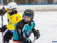 ���� ��������� ������ �������� ��� ������ �� ���������� �������