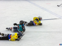 ���� ��������� ������ �������� ��� ������ �� ���������� �������