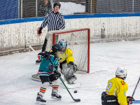 ���� ��������� ������ �������� ��� ������ �� ���������� �������