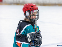 ���� ��������� ������ �������� ��� ������ �� ���������� �������