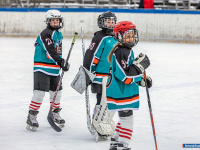 ���� ��������� ������ �������� ��� ������ �� ���������� �������