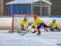 ���� ��������� ������ �������� ��� ������ �� ���������� �������