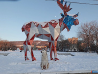 � ������ ����� ������ ��� ���� ������