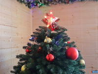 � ������ ����� ������ ��� ���� ������