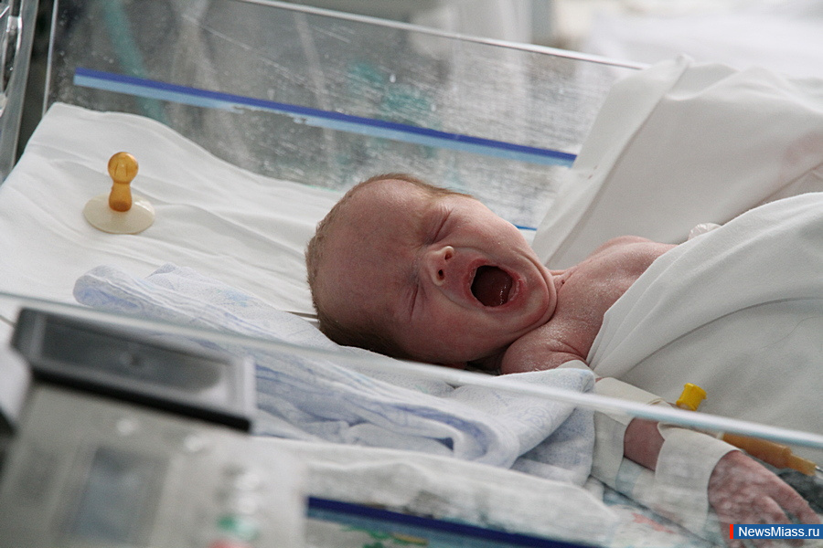 ������ ������ 2026 ���� � ����������� ������� ������� � ������. ����� � ���������� ���� �� ����� ����� �������� 14 �����