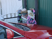 "������" � �������� �������� �������� ������� ��������� � ����������