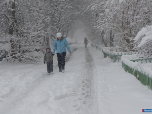 ��� ������� �� ������ ��������?