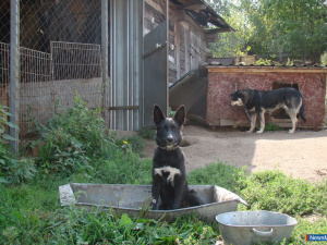 �������� ������ ������ �� ������ � ������