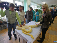 �����, ������, ����������� - ������ ����� ���, ���������� ������