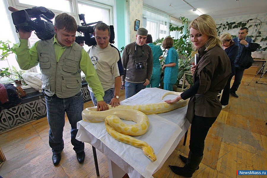 �����, ������, ����������� - ������ ����� ���, ���������� ������