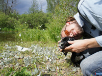 �����, ������, ����������� - ������ ����� ���, ���������� ������