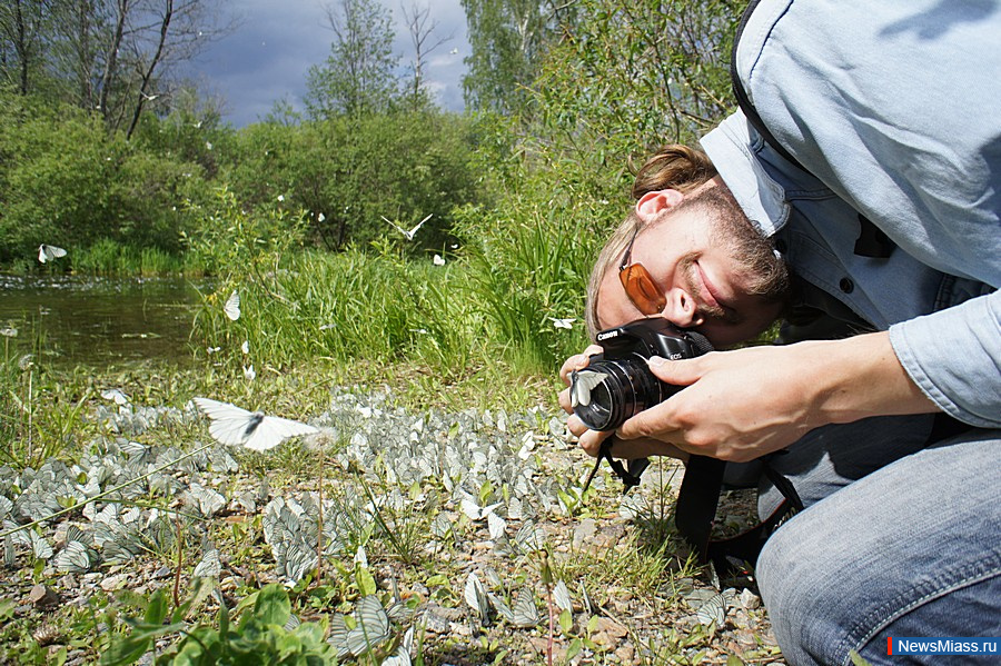 �����, ������, ����������� - ������ ����� ���, ���������� ������. ���������� ������ � ������� ����� ��������� ������ - � ��������� ���������� ��������