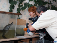 ��������