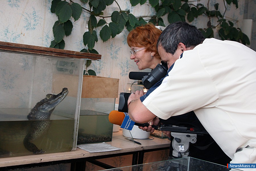 �����, ������, ����������� - ������ ����� ���, ���������� ������. ��������