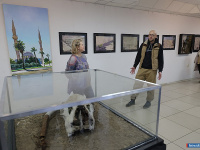 ��������� �������� "���� ��������" ��������� � ������