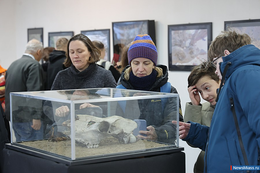 ��������� �������� "���� ��������" ��������� � ������. � ���������� ������������ �������� ��������� ��������� ������������ ����������, ������� � �����������