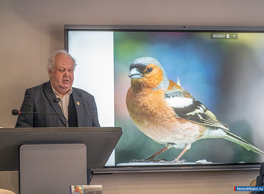 �������� ������� ���������� ���� ����� ����� ������� ������. ������� � ������� ���������� � �������� "���������"