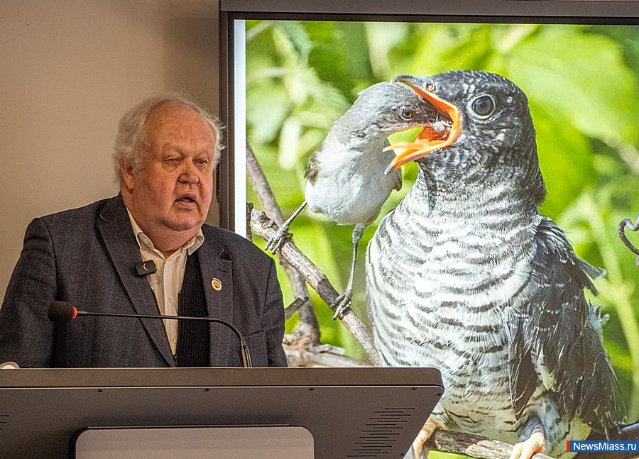 �������� ������� ���������� ���� ����� ����� ������� ������. ������� � ������� ���������� � �������� "���������"