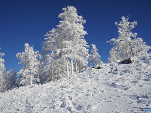 �������� ������ ���������� � ������ �� ��������