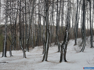 � ������ �������������� ������ ������� ������