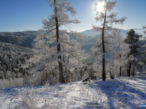 ������ � ������ �� ��������: �����, ����� ����� � ����������