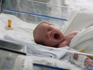 � ������ � 2025 ���� �� ���� �������� 1371 �����