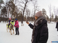 � ������ ������ ����������� ������� ��� �������