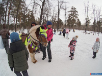 � ������ ������ ����������� ������� ��� �������